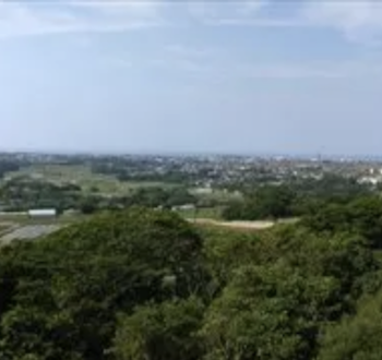 Panoramic view