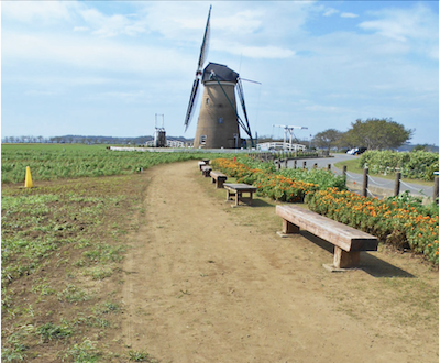 Sakura furusato square