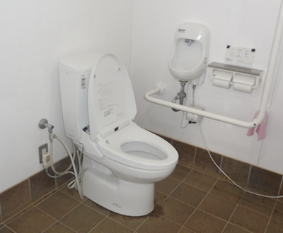 Toilet house