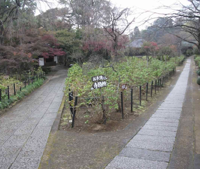 Road to templeoffice