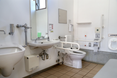 Multi-purpose toilet