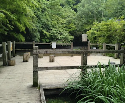 End of the wheelchair