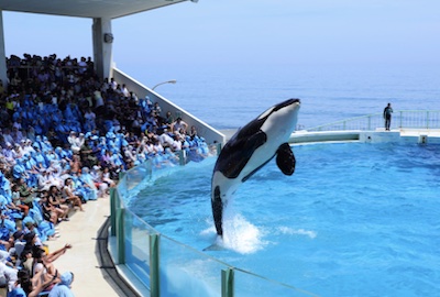 Seaside station tateyama