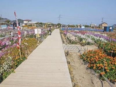 Seaside station tateyama