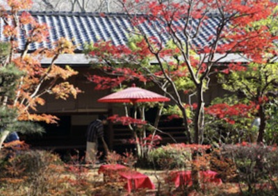 Sakura Castle Ruins Park