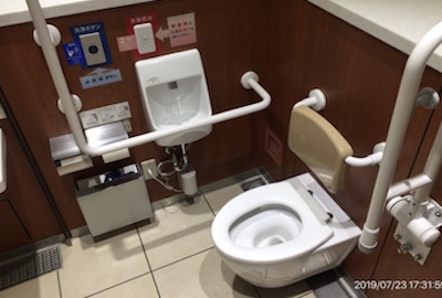 Multi-purpose toilet
