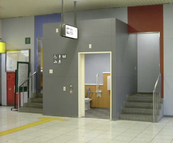 wheelchair accessible toile