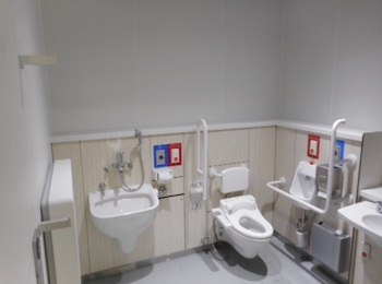 Multi-purpose toilet